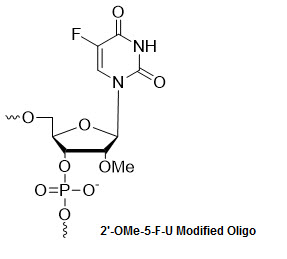 Bio-Synthesis Inc. Oligo Structure